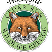 Full Moon Night Hike - logo